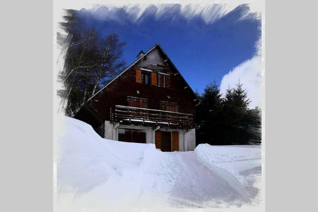 Authentique Chalet Vue Sur Le Lac Et Les Pistes ベス・エ・サンタナステーズ エクステリア 写真